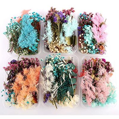 Keebgyy Getrocknete Blumen, trockene Pflanzen für Aromatherapie, Kerze, Epoxidharz, Anhänger, Halskette, Schmuckherstellung, Bastelzubehör Keebgyy Getrocknete Blumen, trockene Pflanzen für Aromatherapie, Kerze, Epoxidharz, Anhänger, Halskette, Schmuckherstellung, Bastelzubehör