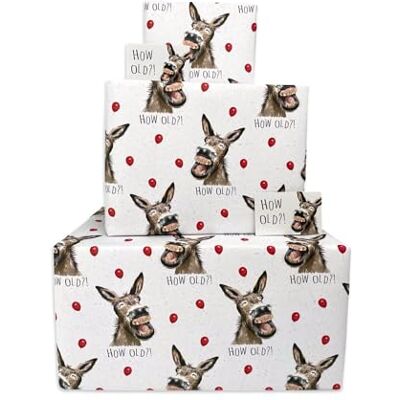 Twizler Happy Birthday Geschenkpapier für Männer oder Frauen – Esel wie alt – 4 Bögen & 4 Anhänger – 70 cm x 50 cm gefaltete Blätter – lustiges Geschenkpapier Twizler Happy Birthday Geschenkpapier für Männer oder Frauen – Esel wie alt – 4 Bögen & 4 Anhänger – 70 cm x 50 cm gefaltete Blätter – lustiges Geschenkpapier