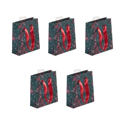 Clairefontaine 212888Cpack Packung 5 Geschenktasche Tüte , Format S (12x4,5x13,5cm), Kollektion Weihnachten Velvet, 170g, Tannenbaum Vegetal Grün, für Parfum und kleine Geschenke, 1 Pack Clairefontaine 212888Cpack Packung 5 Geschenktasche Tüte , Format S (12x4,5x13,5cm), Kollektion Weihnachten Velvet, 170g, Tannenbaum Vegetal Grün, für Parfum und kleine Geschenke, 1 Pack