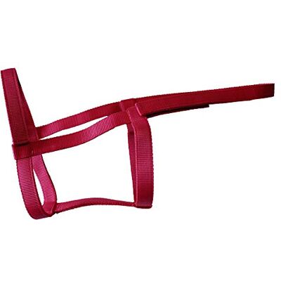 Rhinegold Field Safe Halfter, Pony-Raspberry Rhinegold Field Safe Halfter, Pony-Raspberry