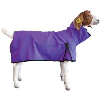 Weaver Livestock Weaver Leather Ziegendecke, groß, Lila Weaver Livestock Weaver Leather Ziegendecke, groß, Lila