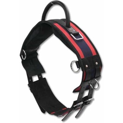 AMKA Longiergurt Reitgurt mit Handgriff aus Leder mit 6 Ringen 2 Ringe für Steigbügelriemen AMKA Longiergurt Reitgurt mit Handgriff aus Leder mit 6 Ringen 2 Ringe für Steigbügelriemen
