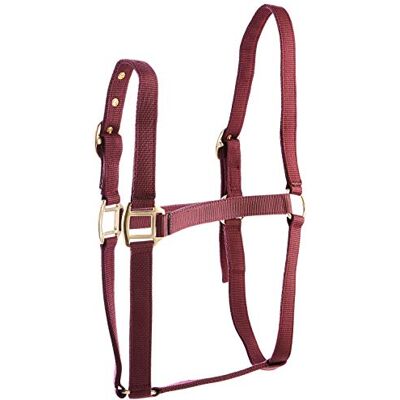 Rhinegold 0 Nylon Headcollar-Cob-Burgundy Halfter, burgunderfarben Rhinegold 0 Nylon Headcollar-Cob-Burgundy Halfter, burgunderfarben