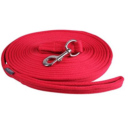 QHP Longierleine Longe – Extra weicher Komfort – 8 m mit praktischer Tasche und großer Schlaufe QHP Longierleine Longe – Extra weicher Komfort – 8 m mit praktischer Tasche und großer Schlaufe