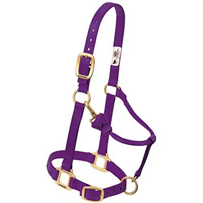 Weaver Equine Weaver Leather Nylon Miniatur Pferd Verstellbares Halfter lila Weaver Equine Weaver Leather Nylon Miniatur Pferd Verstellbares Halfter lila