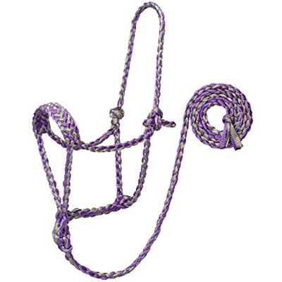 Weaver Equine Weaver Leather Unisex-Erwachsene Braided Rope Halter with 6' Lead, Average Führungsseil, Gray/Purple, Horse Weaver Equine Weaver Leather Unisex-Erwachsene Braided Rope Halter with 6' Lead, Average Führungsseil, Gray/Purple, Horse
