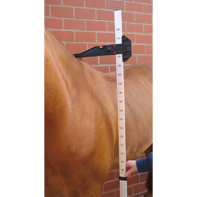 Busse Stockmaß ALU, aluminium, 180 cm, 180 Busse Stockmaß ALU, aluminium, 180 cm, 180