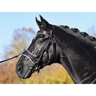 Busse Kappzaum FIT PRO Busse Kappzaum FIT PRO