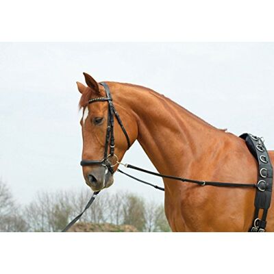 Busse Ausbindezügel BASIC-STARR Busse Ausbindezügel BASIC-STARR