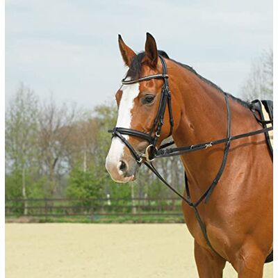 Busse Thiedemann-Kombination Basic Busse Thiedemann-Kombination Basic