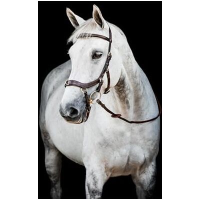 Horseware HW Micklem2 Multi Bridle, Warmblut, Dark Havanna Horseware HW Micklem2 Multi Bridle, Warmblut, Dark Havanna