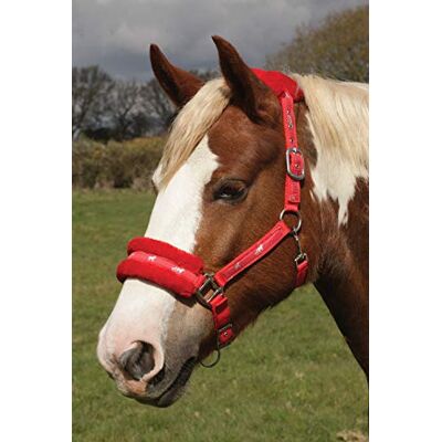 Rhinegold Logo-Halfter mit Fleece-Besatz, Pony, Rot Rhinegold Logo-Halfter mit Fleece-Besatz, Pony, Rot