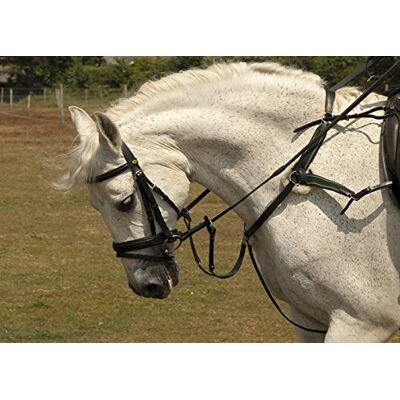 Rhinegold 0 5-Point Breastplate-Pony-Black Vorderzeug, Schwarz Rhinegold 0 5-Point Breastplate-Pony-Black Vorderzeug, Schwarz
