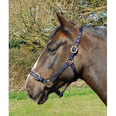 Rhinegold Nylon-Halfter – Pony – Marineblau Rhinegold Nylon-Halfter – Pony – Marineblau