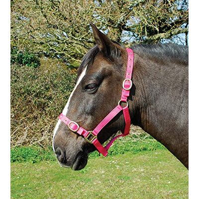 Rhinegold 0 Nylonhalfter – Pony – Himbeere Rhinegold 0 Nylonhalfter – Pony – Himbeere