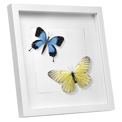 EUGAD 3D Bilderrahmen zum befüllen, 30x40 cm, Weiß, 1.5cm Tiefer 3D Objektrahmen, Tiefer Rahmen für Wand- & Tischrahmen, Shadow Box für Fotos, Hochzeitsstrauß, DIY Kunstwerke EUGAD 3D Bilderrahmen zum befüllen, 30x40 cm, Weiß, 1.5cm Tiefer 3D Objektrahmen, Tiefer Rahmen für Wand- & Tischrahmen, Shadow Box für Fotos, Hochzeitsstrauß, DIY Kunstwerke