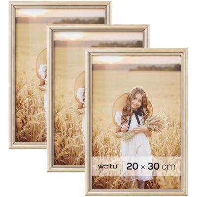 WOLTU Bilderrahmen 20x30, 5er set, Massivholz Fotorahmen mit Passepartout Gold, Front aus PS-Platte, Posterrahmen zum vertikalen oder horizontalen Aufhängen und Aufstellen, Collage Wanddeko WOLTU Bilderrahmen 20x30, 5er set, Massivholz Fotorahmen mit Passepartout Gold, Front aus PS-Platte, Posterrahmen zum vertikalen oder horizontalen Aufhängen und Aufstellen, Collage Wanddeko