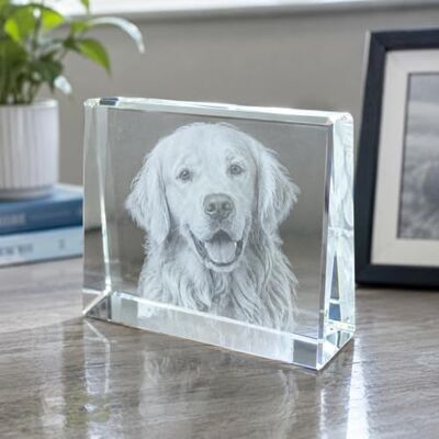 contento Glasfoto personalisiert mit Foto, Motiv wird freigestellt graviertes Glasbild als persönliches Geschenk, Querformat (Kristall + ohne Leuchtsockel, S Querformat freigestellt (8x6x2cm)) contento Glasfoto personalisiert mit Foto, Motiv wird freigestellt graviertes Glasbild als persönliches Geschenk, Querformat (Kristall + ohne Leuchtsockel, S Querformat freigestellt (8x6x2cm))