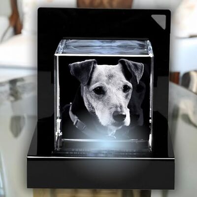 contento 3D Glasfoto Laserbild Dein Foto in einem exklusiv Glasblock mit Premium LED Sockel 1 Personen/Tiere Geschenkidee Hund oder Katze Größe XXS hoch (55x45x30mm) contento 3D Glasfoto Laserbild Dein Foto in einem exklusiv Glasblock mit Premium LED Sockel 1 Personen/Tiere Geschenkidee Hund oder Katze Größe XXS hoch (55x45x30mm)