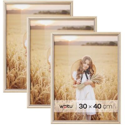 WOLTU Bilderrahmen 30x40cm 5er Set Fotorahmen Holzrahmen mit Passepartout, zum vertikalen oder horizontalen Aufhängen/Aufstellen, Posterrahmen Collage Wanddeko, Gold WOLTU Bilderrahmen 30x40cm 5er Set Fotorahmen Holzrahmen mit Passepartout, zum vertikalen oder horizontalen Aufhängen/Aufstellen, Posterrahmen Collage Wanddeko, Gold