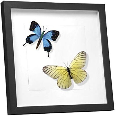 EUGAD 3D Bilderrahmen zum befüllen, 30x30 cm, Schwarz, 1.5cm Tiefer 3D Objektrahmen, Tiefer Rahmen für Wand- & Tischrahmen, Shadow Box für Fotos, Hochzeitsstrauß, DIY Kunstwerke EUGAD 3D Bilderrahmen zum befüllen, 30x30 cm, Schwarz, 1.5cm Tiefer 3D Objektrahmen, Tiefer Rahmen für Wand- & Tischrahmen, Shadow Box für Fotos, Hochzeitsstrauß, DIY Kunstwerke