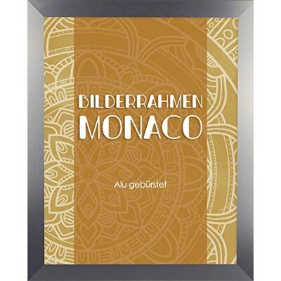 Homedeco-24 Fotorahmen Monaco 30x53 cm Bilderrahmen Alu Gebürstet Posterrahmen Homedeco-24 Fotorahmen Monaco 30x53 cm Bilderrahmen Alu Gebürstet Posterrahmen