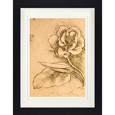 1art1 Leonardo Da Vinci Poster Blumenstudie, Detail, 1481-1483 Gerahmtes Bild Mit Edlem Passepartout Wand-Bilder Im Bilderrahmen 40x30 cm 1art1 Leonardo Da Vinci Poster Blumenstudie, Detail, 1481-1483 Gerahmtes Bild Mit Edlem Passepartout Wand-Bilder Im Bilderrahmen 40x30 cm