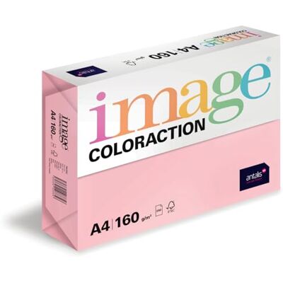 Antalis Image Coloraction Tropic farbiges Kopierpapier DIN A4, 210 x 297 mm, 160 g/m² buntes, holzfreies Druckerpapier für Kopierer 250 Blatt Hellrosa Antalis Image Coloraction Tropic farbiges Kopierpapier DIN A4, 210 x 297 mm, 160 g/m² buntes, holzfreies Druckerpapier für Kopierer 250 Blatt Hellrosa