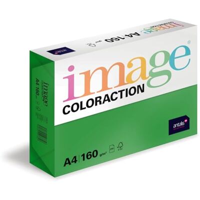 IMAGE Coloraction Dublin farbiges Kopierpapier DIN A4, 210 x 297 mm, 160 g/m² buntes, holzfreies Druckerpapier für Kopierer 250 Blatt Dunkelgrün IMAGE Coloraction Dublin farbiges Kopierpapier DIN A4, 210 x 297 mm, 160 g/m² buntes, holzfreies Druckerpapier für Kopierer 250 Blatt Dunkelgrün