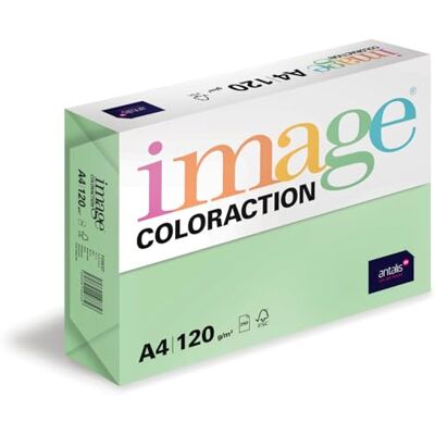 IMAGE Coloraction Forest farbiges Kopierpapier DIN A4, 210 x 297 mm, 120 g/m² buntes, holzfreies Druckerpapier für Kopierer 250 Blatt Grün IMAGE Coloraction Forest farbiges Kopierpapier DIN A4, 210 x 297 mm, 120 g/m² buntes, holzfreies Druckerpapier für Kopierer 250 Blatt Grün