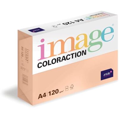 Antalis 838 A 120S 11 – Kopierpapier - A4, 120 g/m², Lachsfarben Antalis 838 A 120S 11 – Kopierpapier - A4, 120 g/m², Lachsfarben