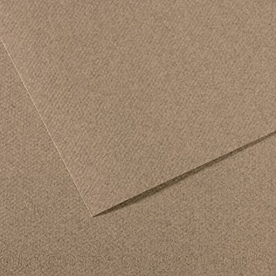 Canson Blatt 55 x 75 (25) Mi-Teintes 60% Biene 160 g (431) Canson Blatt 55 x 75 (25) Mi-Teintes 60% Biene 160 g (431)