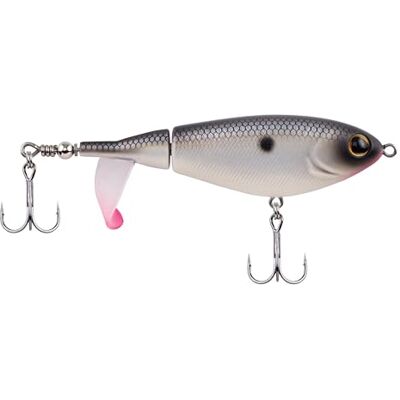 Berkley Choppo Topwater-Köder Einfach zu verwendender Propeller-Köder für Raubfische Erzeugt maximale Oberflächenbewegung und Geräusche Robuste, gewölbte Schwanzflosse 9 cm 14 g MF Shad Berkley Choppo Topwater-Köder Einfach zu verwendender Propeller-Köder für Raubfische Erzeugt maximale Oberflächenbewegung und Geräusche Robuste, gewölbte Schwanzflosse 9 cm 14 g MF Shad