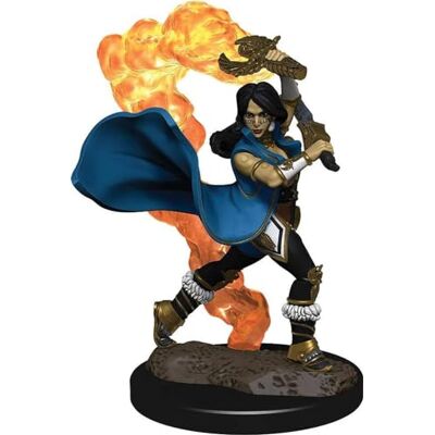 WizKids Pathfinder Battles: Premium Painted Figure Human Cleric Female (6 Units) WizKids Pathfinder Battles: Premium Painted Figure Human Cleric Female (6 Units)