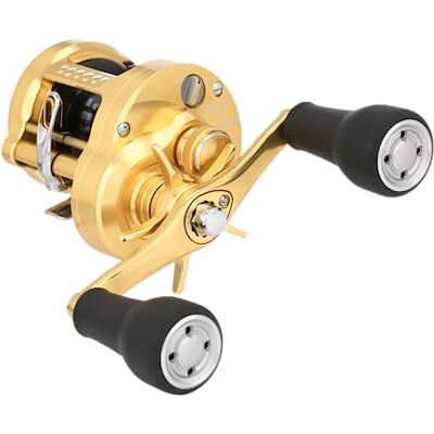 Shimano Calcutta Conquest MD Runde Rollen (CTCNQMD300XGLHB) Angeln Shimano Calcutta Conquest MD Runde Rollen (CTCNQMD300XGLHB) Angeln