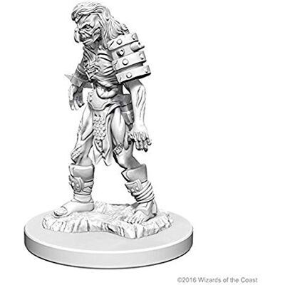 WizKids Dungeons & Dragons WZK72567 Accessories WizKids Dungeons & Dragons WZK72567 Accessories