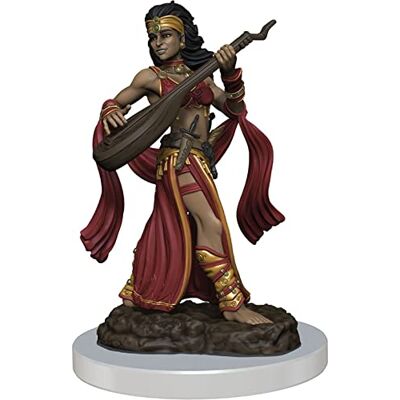 NECA Pathfinder Premium Female Human Bard NECA Pathfinder Premium Female Human Bard