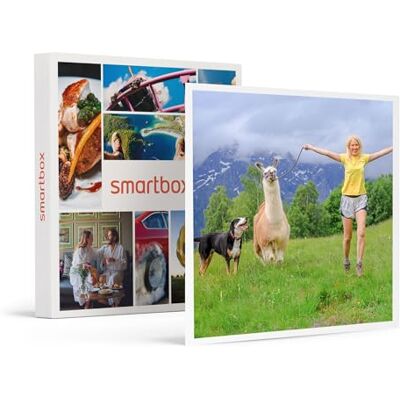 Smartbox Geschenkbox 1-stündige Alpaka-Wanderung für 2 Personen Originelle Geschenkidee Smartbox Geschenkbox 1-stündige Alpaka-Wanderung für 2 Personen Originelle Geschenkidee