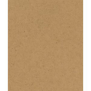Rasch Tapeten Vliestapete (universell) Braun 10,05 m x 0,53 m Concrete 520897 Rasch Tapeten Vliestapete (universell) Braun 10,05 m x 0,53 m Concrete 520897