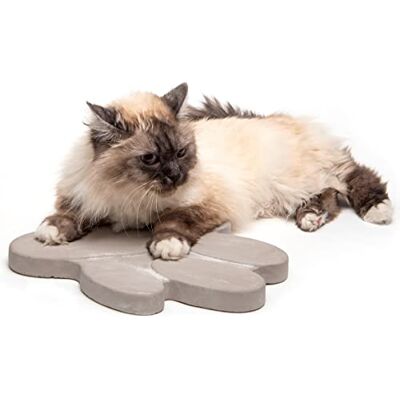matches21 HOME & HOBBY Trittsteine Tatze für Garten und Gehwege 2 Trittplatten im Set große Gartenplatten aus Beton Stein je 30 x 25 cm matches21 HOME & HOBBY Trittsteine Tatze für Garten und Gehwege 2 Trittplatten im Set große Gartenplatten aus Beton Stein je 30 x 25 cm