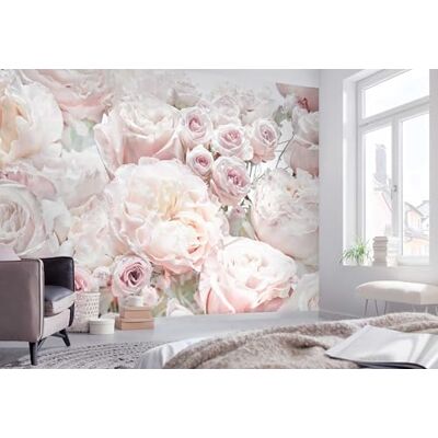 Komar Vlies Fototapete Spring Roses 336 x 240 cm Tapete, Schlafzimmer, Blumen, Floral, Rosen Komar Vlies Fototapete Spring Roses 336 x 240 cm Tapete, Schlafzimmer, Blumen, Floral, Rosen