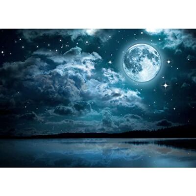 ART Fototapeten 396 x 280 cm Vollmond Nacht Vlies Wanddekoration Wohnzimmer Schlafzimmer Deutsche Manufaktur Türkis 9116012b ART Fototapeten 396 x 280 cm Vollmond Nacht Vlies Wanddekoration Wohnzimmer Schlafzimmer Deutsche Manufaktur Türkis 9116012b