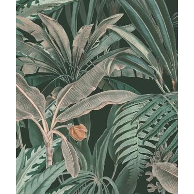 Rasch Botanical Dschungel Vlies Fototapete Rasch Botanical Dschungel Vlies Fototapete
