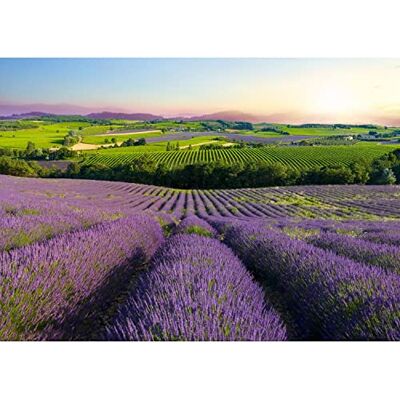 ART Fototapete Provence Landschaft Natur Modern Vlies Wohnzimmer Schlafzimmer Made in Germany 308 x 220 cm Grün Beige 9022010b ART Fototapete Provence Landschaft Natur Modern Vlies Wohnzimmer Schlafzimmer Made in Germany 308 x 220 cm Grün Beige 9022010b