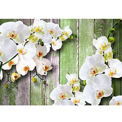 ART Fototapete 3D Orchidee Holz 352 x 250 cm Vlies Tapeten XXL Moderne Wandtapete Wohnzimmer Schlafzimmer Weiss 9057011c ART Fototapete 3D Orchidee Holz 352 x 250 cm Vlies Tapeten XXL Moderne Wandtapete Wohnzimmer Schlafzimmer Weiss 9057011c