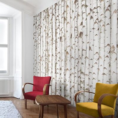 Apalis Vliestapete nummer YK15 Birkenwand Fototapete Quadrat Vlies Tapete Wandtapete Wandbild Foto 3D Fototapete für Schlafzimmer Wohnzimmer Küche Größe: 240x240 cm, mehrfarbig, 95420 Apalis Vliestapete nummer YK15 Birkenwand Fototapete Quadrat Vlies Tapete Wandtapete Wandbild Foto 3D Fototapete für Schlafzimmer Wohnzimmer Küche Größe: 240x240 cm, mehrfarbig, 95420