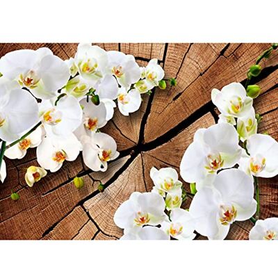 ART Fototapete 3D Orchidee Holz 352 x 250 cm Vlies Tapeten XXL Moderne Wandtapete Wohnzimmer Schlafzimmer Weiss 9057011b ART Fototapete 3D Orchidee Holz 352 x 250 cm Vlies Tapeten XXL Moderne Wandtapete Wohnzimmer Schlafzimmer Weiss 9057011b