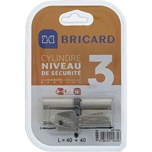 Bricard 15681 Zylinder Astral 2,9 Messing vernickelt 10 Kolben/2 Eingänge 40 + 40 Bricard 15681 Zylinder Astral 2,9 Messing vernickelt 10 Kolben/2 Eingänge 40 + 40