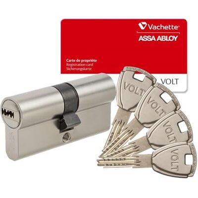 Vachette Rindleder 67101 voltafcs/SC Zylinder, Nickel, 30 x 30 mm Vachette Rindleder 67101 voltafcs/SC Zylinder, Nickel, 30 x 30 mm