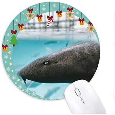 Marine Organism Shark Ocean Animal Mouse Pad Jingling Bell Round Rubber Mat Marine Organism Shark Ocean Animal Mouse Pad Jingling Bell Round Rubber Mat